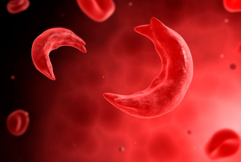 1732113822.706981_671519_image